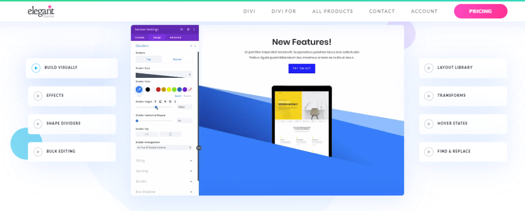 Divi Theme Review - Features