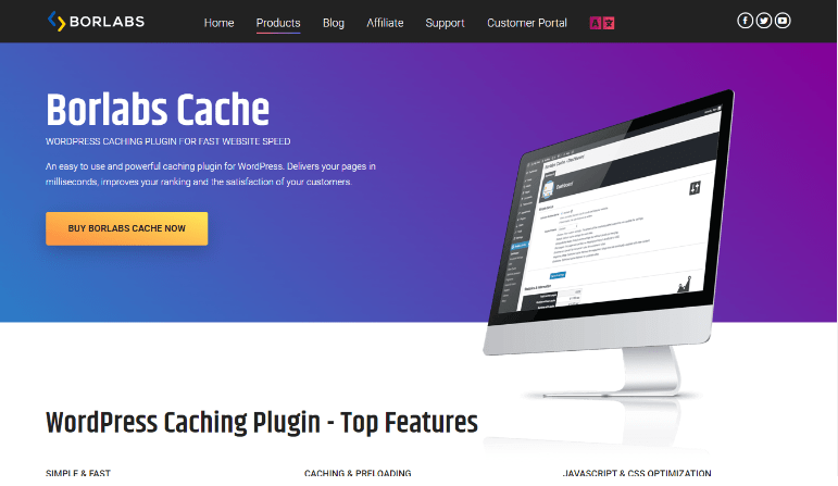 Borlabs Cache 