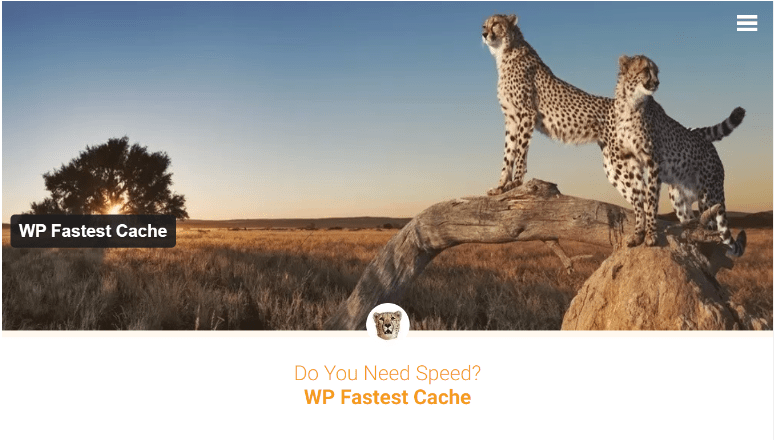 WP Fastest Cache 