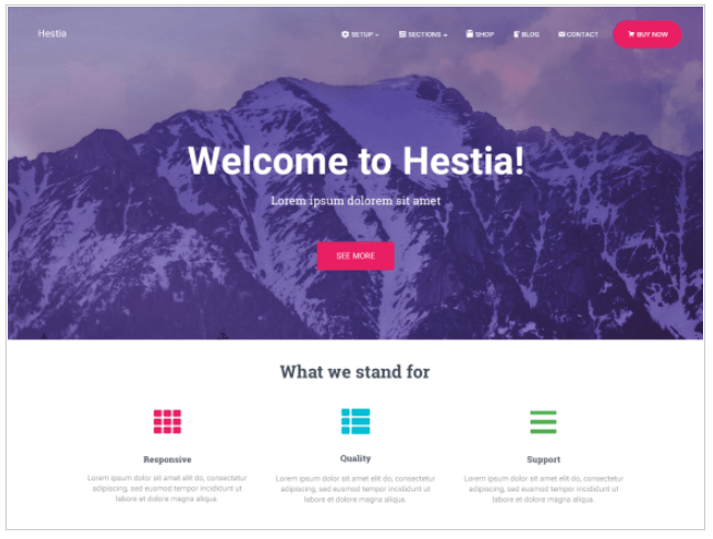  One-Page WordPress Themes-Hestia Pro
