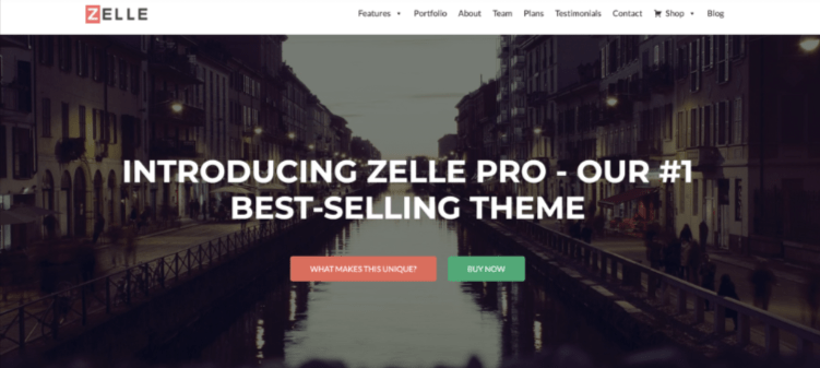 Zelle Overview