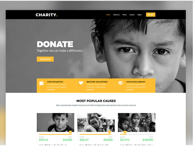 Non-profit or Charity Website