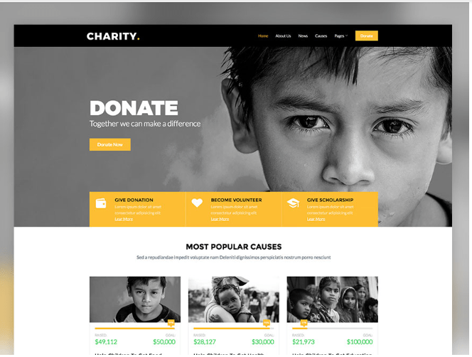 Non-profit or Charity Website - Beginner Website Ideas