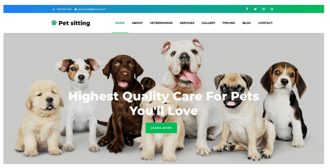 Pet-Related Website - Beginner Website Ideas