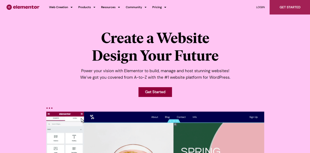 Elementor Website Overview
